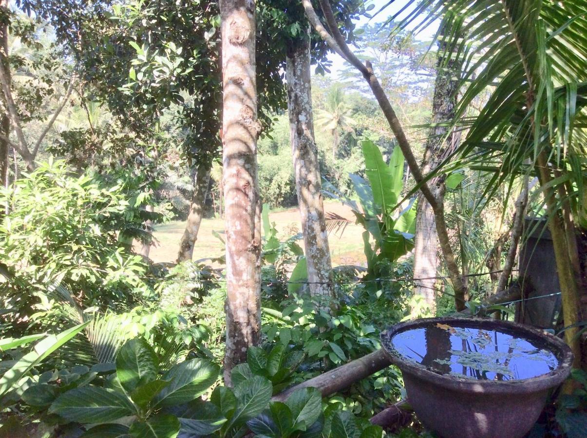 Rumah Irak Et Kadek Bali Ubud Eksteriør billede