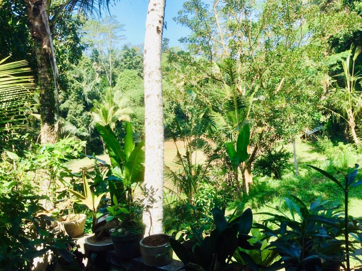 Rumah Irak Et Kadek Bali Ubud Eksteriør billede
