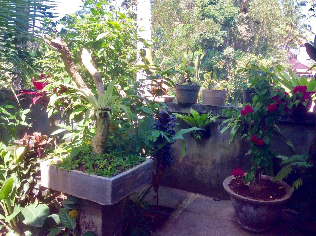 Rumah Irak Et Kadek Bali Ubud Eksteriør billede