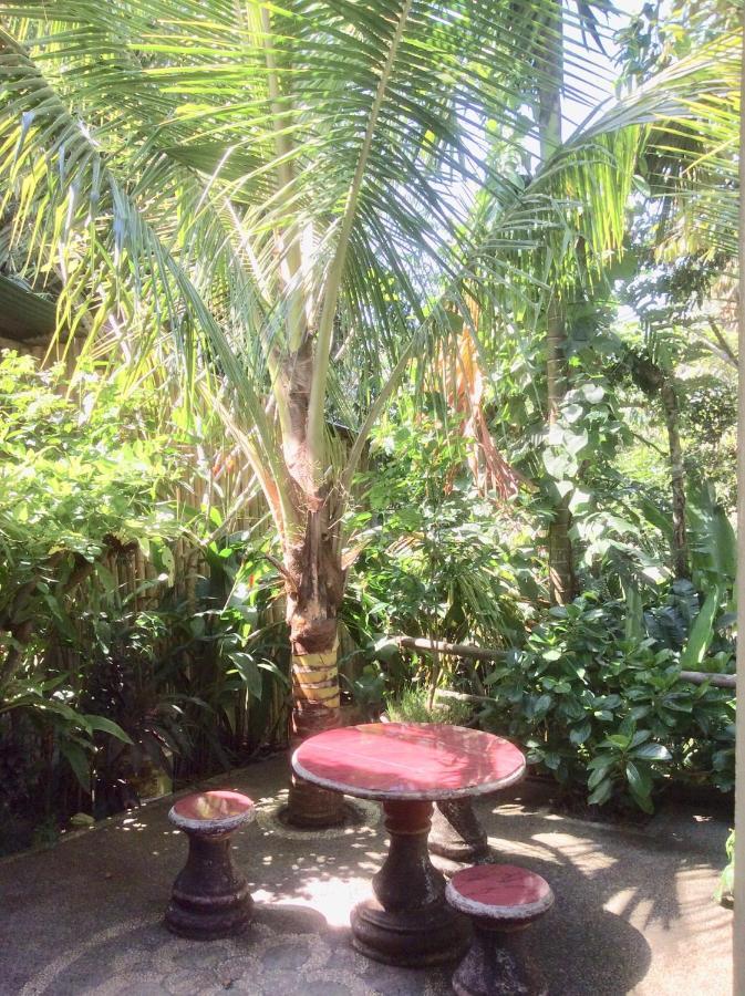 Rumah Irak Et Kadek Bali Ubud Eksteriør billede