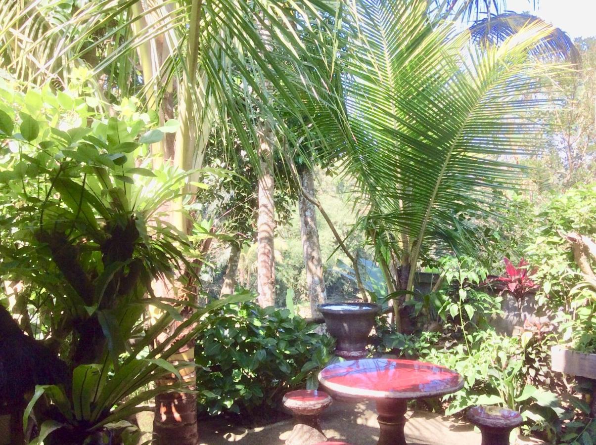 Rumah Irak Et Kadek Bali Ubud Eksteriør billede